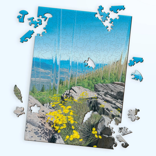Adult wooden puzzles featuring Everlasting artwork by artist Micah Ofstedahl